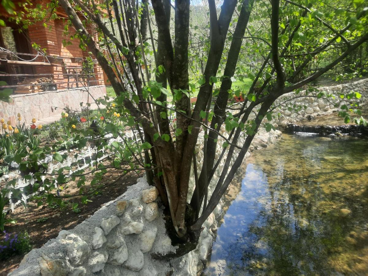 Live Nature Bihac Exterior photo