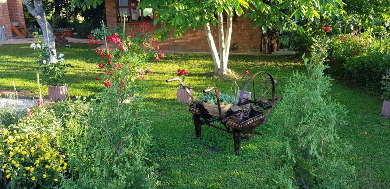 Live Nature Bihac Exterior photo